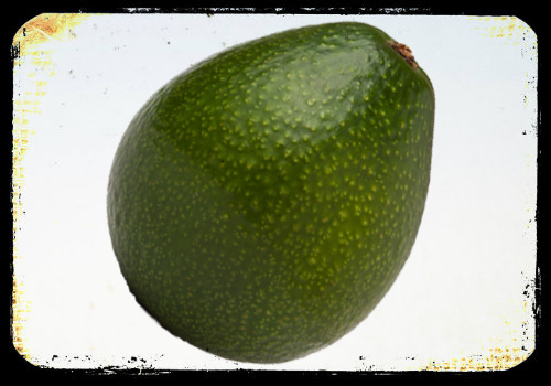 Avocado